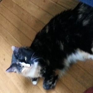 Meet your Posher, Carleen